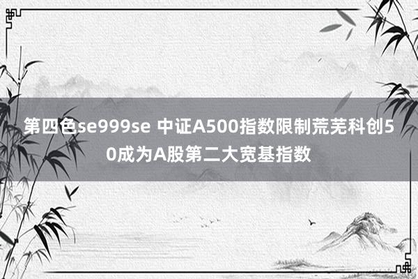 第四色se999se 中证A500指数限制荒芜科创50成为A股第二大宽基指数