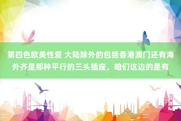 第四色欧美性爱 大陆除外的包括香港澳门还有海外齐是那种平行的三头插座，咱们这边的是有