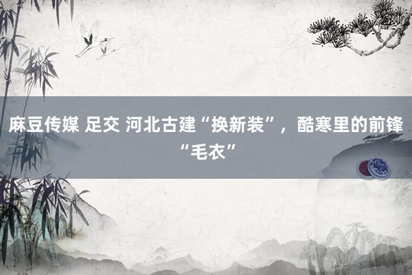 麻豆传媒 足交 河北古建“换新装”，酷寒里的前锋“毛衣”