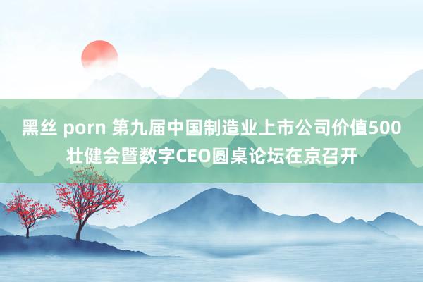 黑丝 porn 第九届中国制造业上市公司价值500壮健会暨数字CEO圆桌论坛在京召开