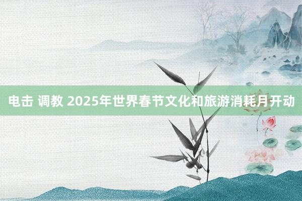 电击 调教 2025年世界春节文化和旅游消耗月开动