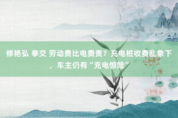 修艳弘 拳交 劳动费比电费贵？充电桩收费乱象下，车主仍有“充电惊险”