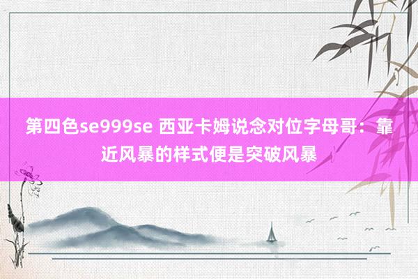 第四色se999se 西亚卡姆说念对位字母哥：靠近风暴的样式便是突破风暴