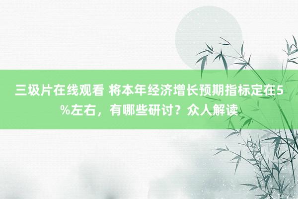三圾片在线观看 将本年经济增长预期指标定在5%左右，有哪些研讨？众人解读