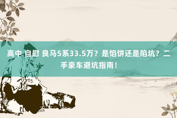 高中 自慰 良马5系33.5万？是馅饼还是陷坑？二手豪车避坑指南！