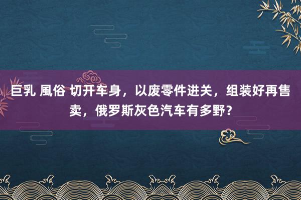 巨乳 風俗 切开车身，以废零件进关，组装好再售卖，俄罗斯灰色汽车有多野？