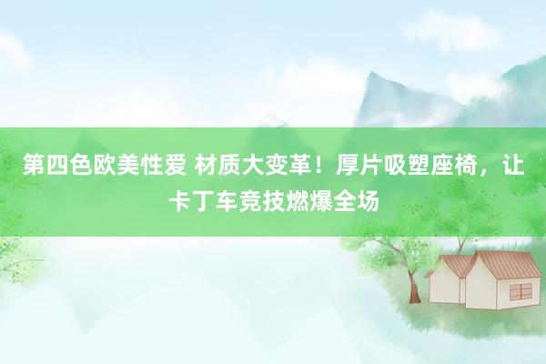 第四色欧美性爱 材质大变革！厚片吸塑座椅，让卡丁车竞技燃爆全场