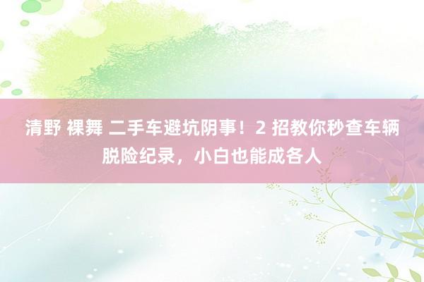 清野 裸舞 二手车避坑阴事！2 招教你秒查车辆脱险纪录，小白也能成各人