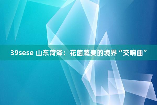 39sese 山东菏泽：花菌蔬麦的境界“交响曲”