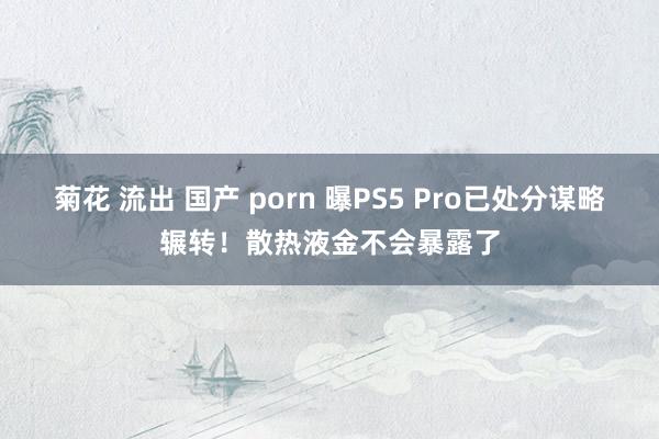 菊花 流出 国产 porn 曝PS5 Pro已处分谋略辗转！散热液金不会暴露了