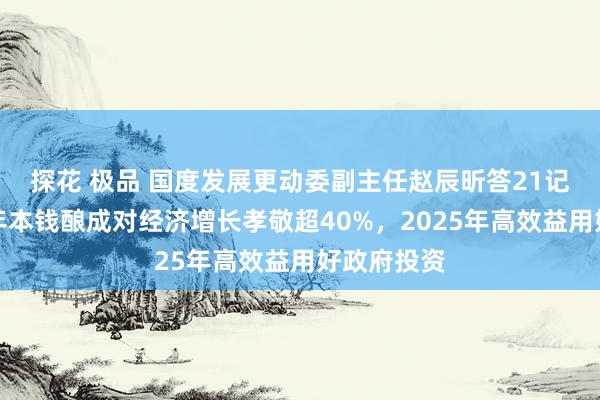探花 极品 国度发展更动委副主任赵辰昕答21记者：近十年本钱酿成对经济增长孝敬超40%，2025年高效益用好政府投资