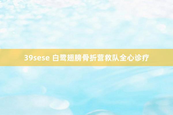 39sese 白鹭翅膀骨折营救队全心诊疗