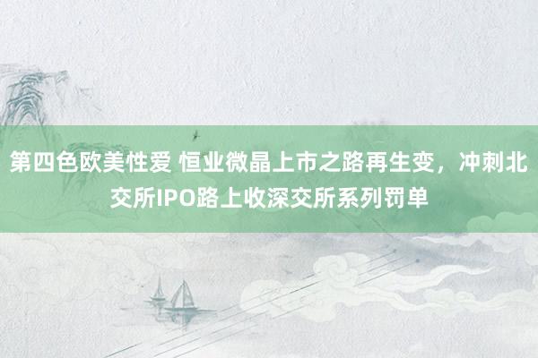 第四色欧美性爱 恒业微晶上市之路再生变，冲刺北交所IPO路上收深交所系列罚单