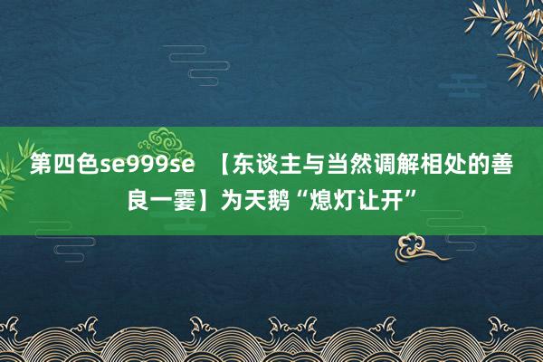 第四色se999se  【东谈主与当然调解相处的善良一霎】为天鹅“熄灯让开”