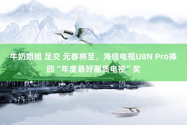 牛奶姐姐 足交 元春将至，海信电视U8N Pro捧回“年度最好画质电视”奖