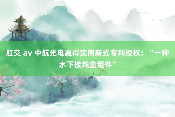 肛交 av 中航光电赢得实用新式专利授权：“一种水下接线盒组件”