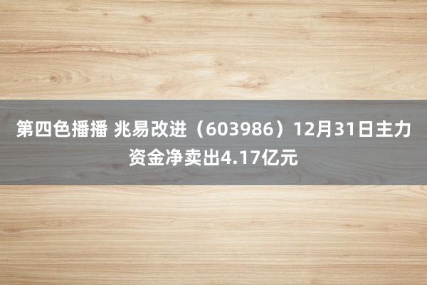 第四色播播 兆易改进（603986）12月31日主力资金净卖出4.17亿元