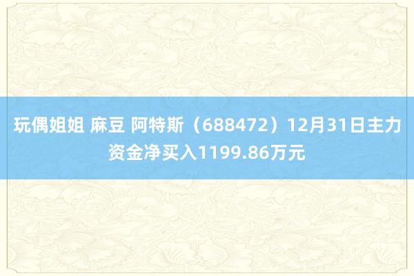 玩偶姐姐 麻豆 阿特斯（688472）12月31日主力资金净买入1199.86万元