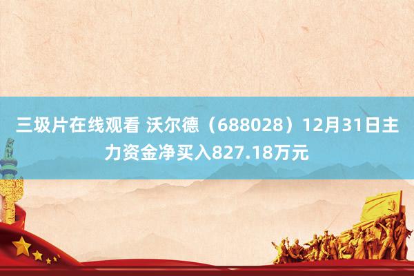 三圾片在线观看 沃尔德（688028）12月31日主力资金净买入827.18万元