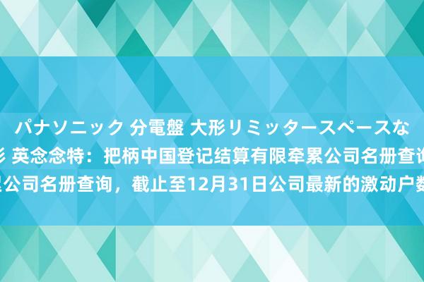 パナソニック 分電盤 大形リミッタースペースなし 露出・半埋込両用形 英念念特：把柄中国登记结算有限牵累公司名册查询，截止至12月31日公司最新的激动户数为27，129户