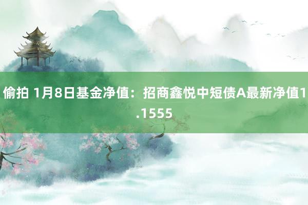 偷拍 1月8日基金净值：招商鑫悦中短债A最新净值1.1555