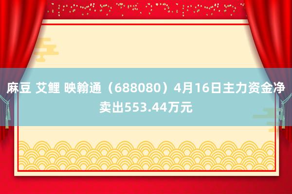 麻豆 艾鲤 映翰通（688080）4月16日主力资金净卖出553.44万元