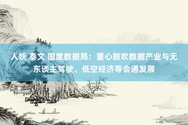 人妖 泰文 国度数据局：重心鼓吹数据产业与无东谈主驾驶、低空经济等会通发展