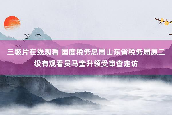 三圾片在线观看 国度税务总局山东省税务局原二级有观看员马奎升领受审查走访