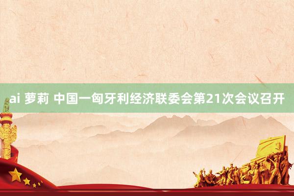 ai 萝莉 中国一匈牙利经济联委会第21次会议召开