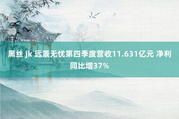 黑丝 jk 远景无忧第四季度营收11.631亿元 净利同比增37%