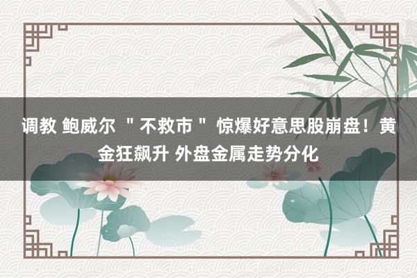 调教 鲍威尔 ＂不救市＂ 惊爆好意思股崩盘！黄金狂飙升 外盘金属走势分化