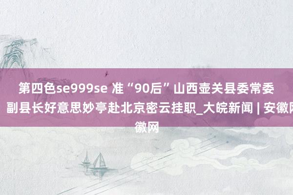 第四色se999se 准“90后”山西壶关县委常委、副县长好意思妙亭赴北京密云挂职_大皖新闻 | 安徽网
