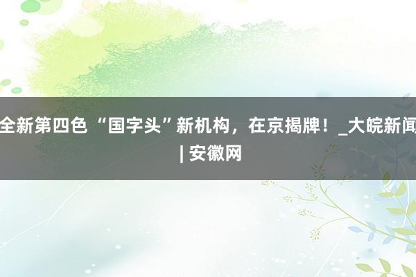 全新第四色 “国字头”新机构，在京揭牌！_大皖新闻 | 安徽网