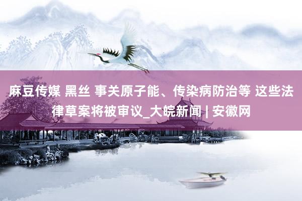麻豆传媒 黑丝 事关原子能、传染病防治等 这些法律草案将被审议_大皖新闻 | 安徽网