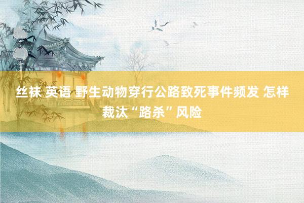 丝袜 英语 野生动物穿行公路致死事件频发 怎样裁汰“路杀”风险