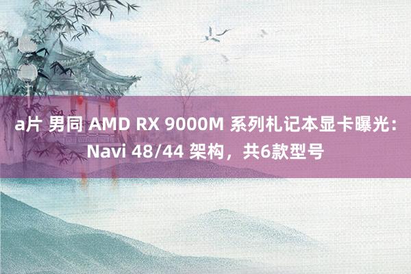 a片 男同 AMD RX 9000M 系列札记本显卡曝光：Navi 48/44 架构，共6款型号