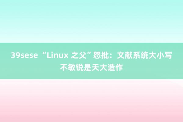 39sese “Linux 之父”怒批：文献系统大小写不敏锐是天大造作
