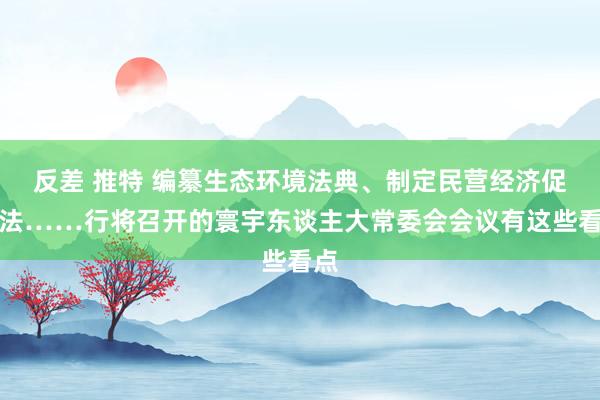 反差 推特 编纂生态环境法典、制定民营经济促进法……行将召开的寰宇东谈主大常委会会议有这些看点